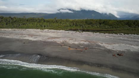 driftwood on the maori beach in bruce bay, west coast, south island, new zealand. - aerial pullback shot