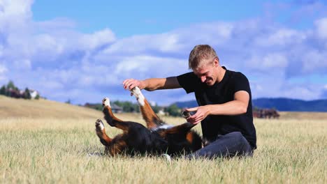 niño y perro jugando en un hermoso campo