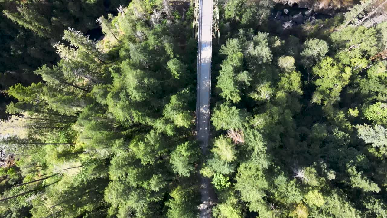 mirando hacia abajo pasando sobre un puente de celosía de acero abandonado en el medio de un denso bosque, aéreo