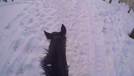 black horse riding through snowy forest path