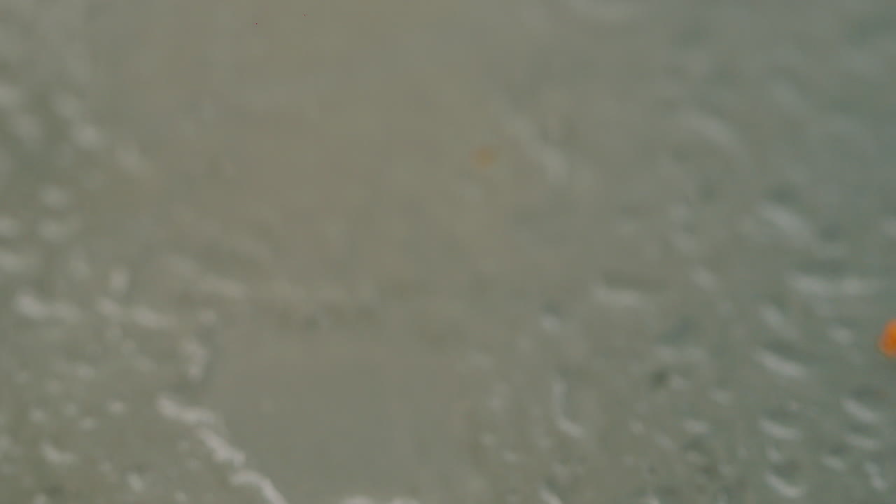 新婚戒指新婚夫妇和订婚戒指在玻璃表面上有水滴