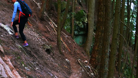 Hiker-couple-hiking-in-forest