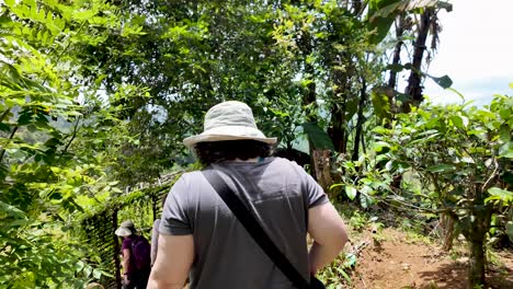 hiking through a lush tropical jungle