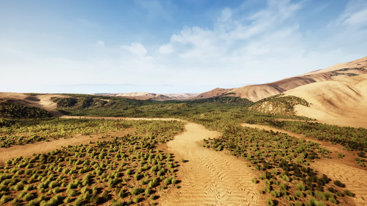 은 하늘 아래 낮은 관목으로 인 산들 사이의 사막 풍경