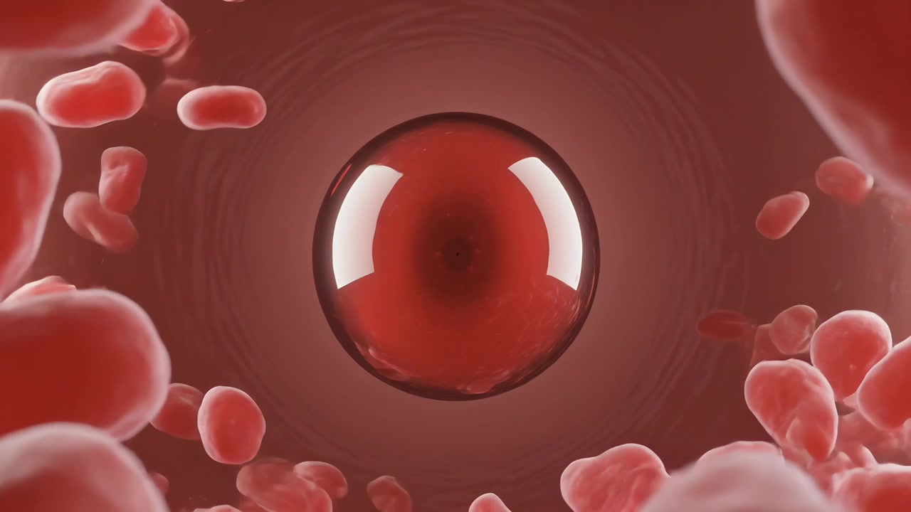 Moving via flow red cells passing glossy sphere inside textured tube, creating bright reflections