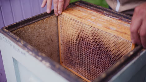 Imker-Legt-Rahmen-In-Einen-Leeren-Bienenstock