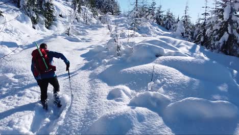 man snowshoeing uphill on mount porter, vancouver island, canada