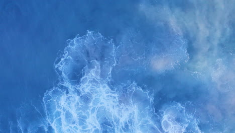 white water swirling shallow sandy coastline small school of fish top of screen tamarama beach sydney australia pov drone