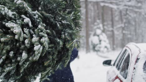 Un-Hombre-Con-Un-Padre-Mayor-Empacando-Un-árbol-De-Navidad-En-El-Auto