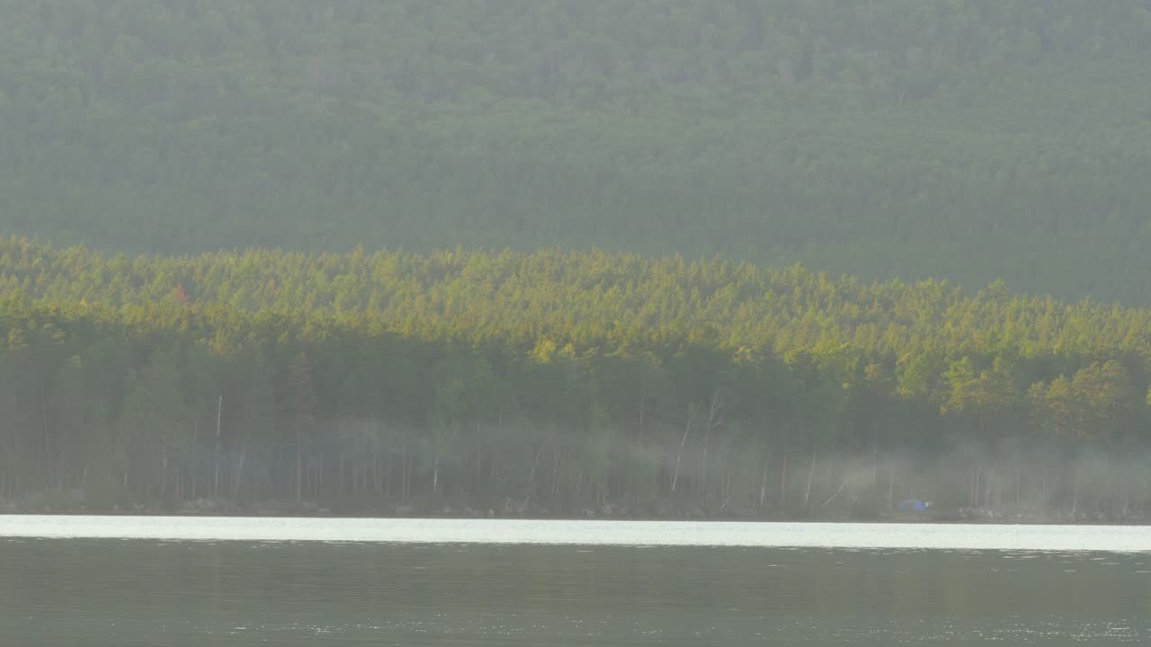 안개 숲 호수 풍경