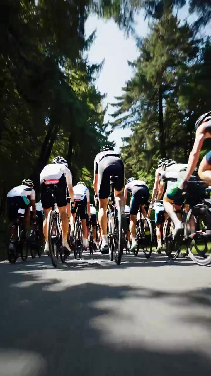 Vista trasera de un grupo de ciclistas pedaleando por un bosque verde
