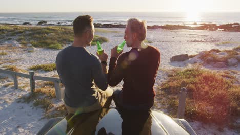 feliz pareja masculina gay caucásica sentada en el coche bebiendo botellas de cerveza en un día soleado en la playa