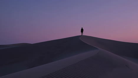 silhouette on a desert dune at twilight