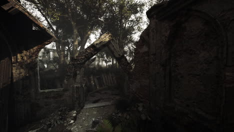 abandoned structure overtaken by nature in a dense forest during daylight