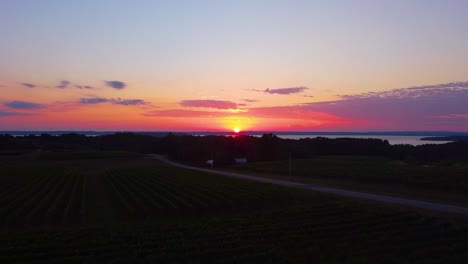 een prachtige zonsondergang in het noorden van michigan boven een wijngaardveld