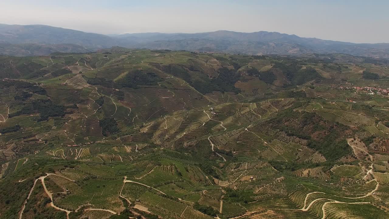 tiro de drone de viñedos de montañas verdes en la región del duero portugal