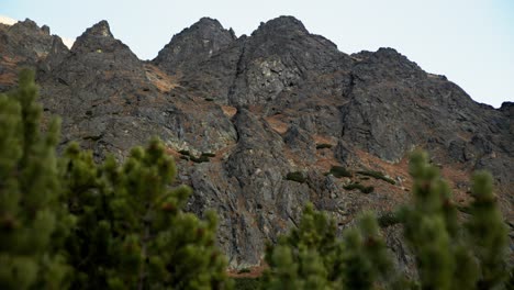 Coniferous-trees-in-foreground-tilting-up-to-steep-mountains-in-Sliezsky-Dom,-High-Tatras-Slovakia