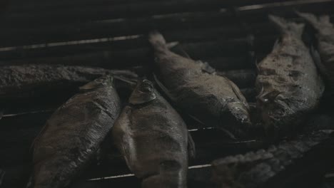 indigenan barbecue closeup of fish being cook