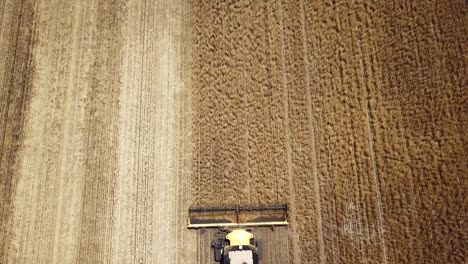 looking down on a combine as it harvests corn then descending into the trailing dust plume - aerial view