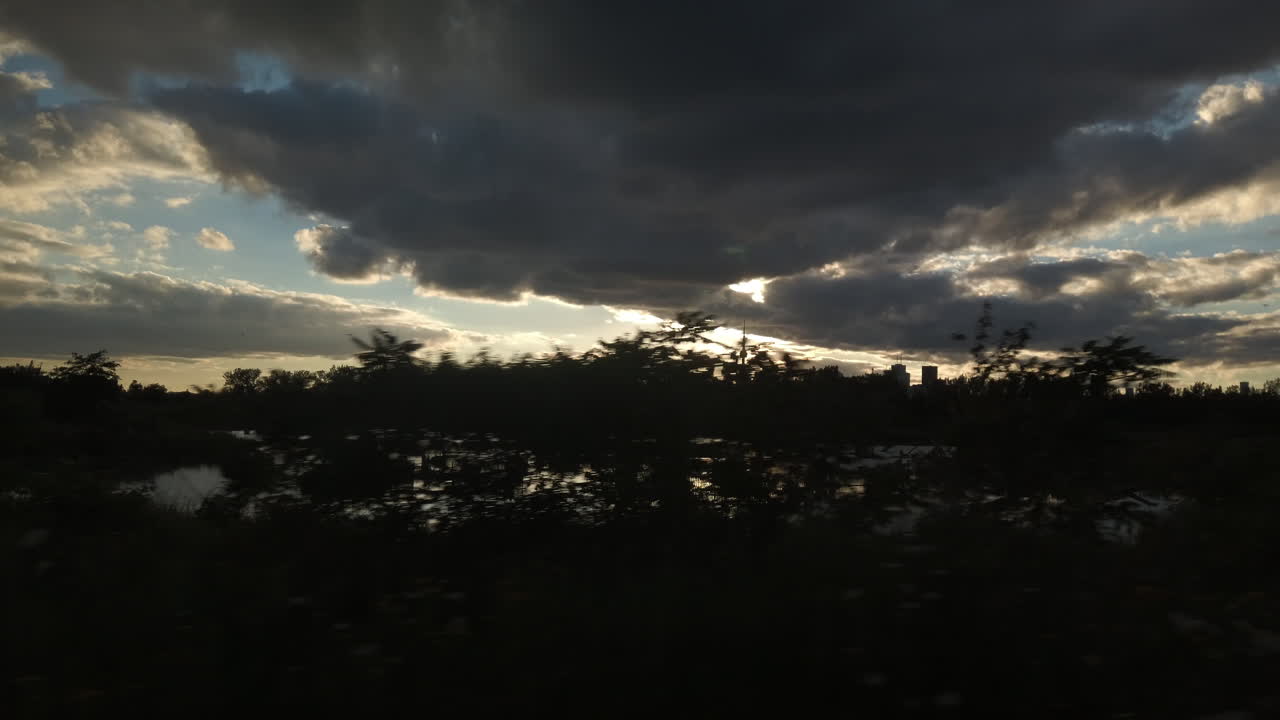 전경에 있는 변덕스러운 습지와 멀리 있는 토론토의 외부 와이드 설정 샷