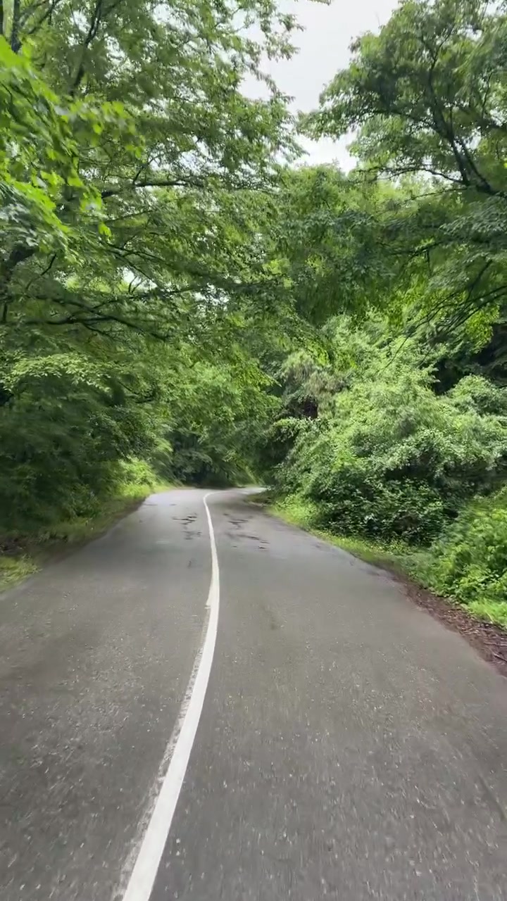 Jalan aspal basah dengan garis pembatas putih berkelok-kelok melewati hutan hijau lebat dan rimbun di bawah langit mendung di Dagestan, Rusia.