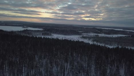 The-frozen-forest-near-Kuusamo-in-Lapland,-Finland