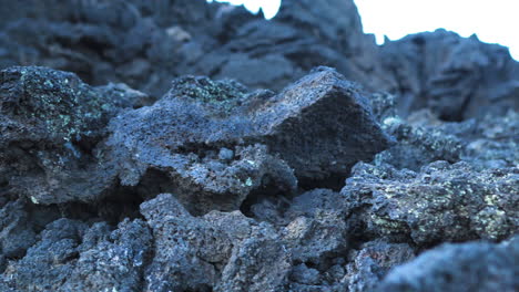 close up black lava stone, dolly right