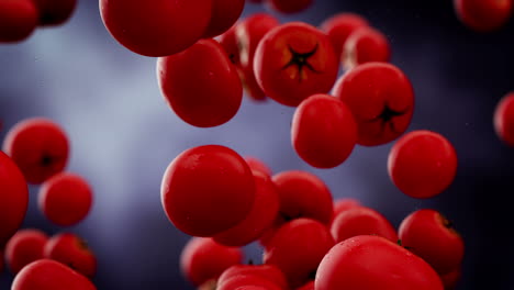 Clearly-clean-red-tomatoes-with-water-droplets-falling-down-in-front-of-the-blurry-background.-Slow-motion-computer-generated-imagery-presenting-realistic-looking-vegetables-in-the-air.-HD