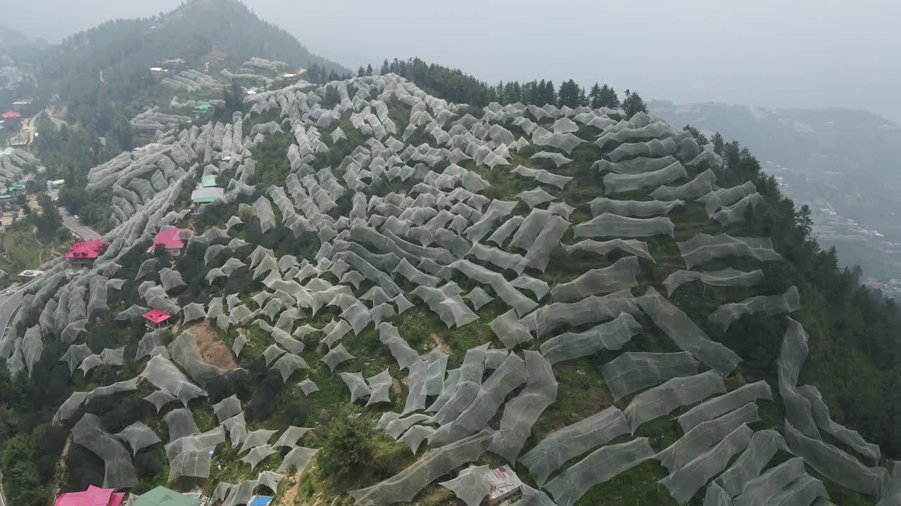 воздушный снимок яблочных ферм в химачал-прадеш.