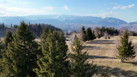 Lush-forest-and-vast-meadows-with-mountains-in-the-background,-aerial-view