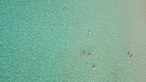 Aerial-footage-of-people-bathing-at-a-shallow-sandy-beach