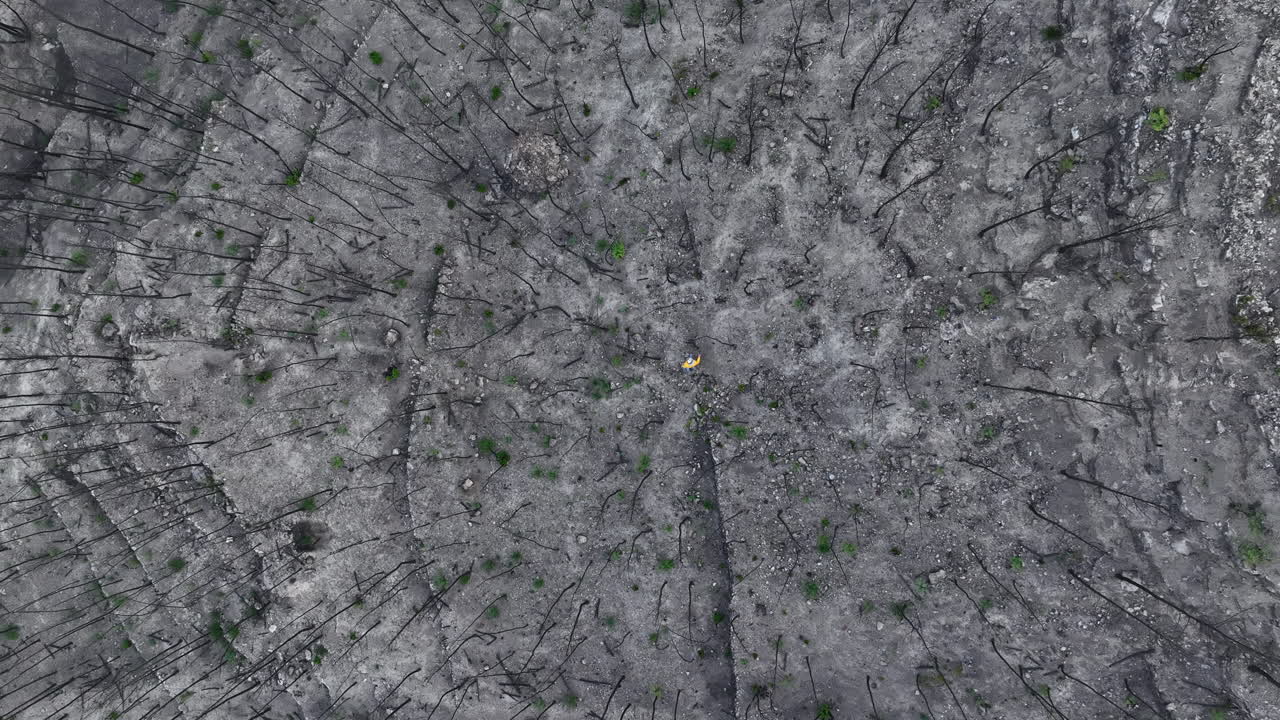 hombre preguntándose en una tierra gris desolada después de un devastador incendio forestal, aéreo, acercamiento