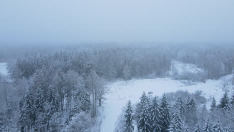 aerial drone lift shot over snowy winter forest landscape with white field