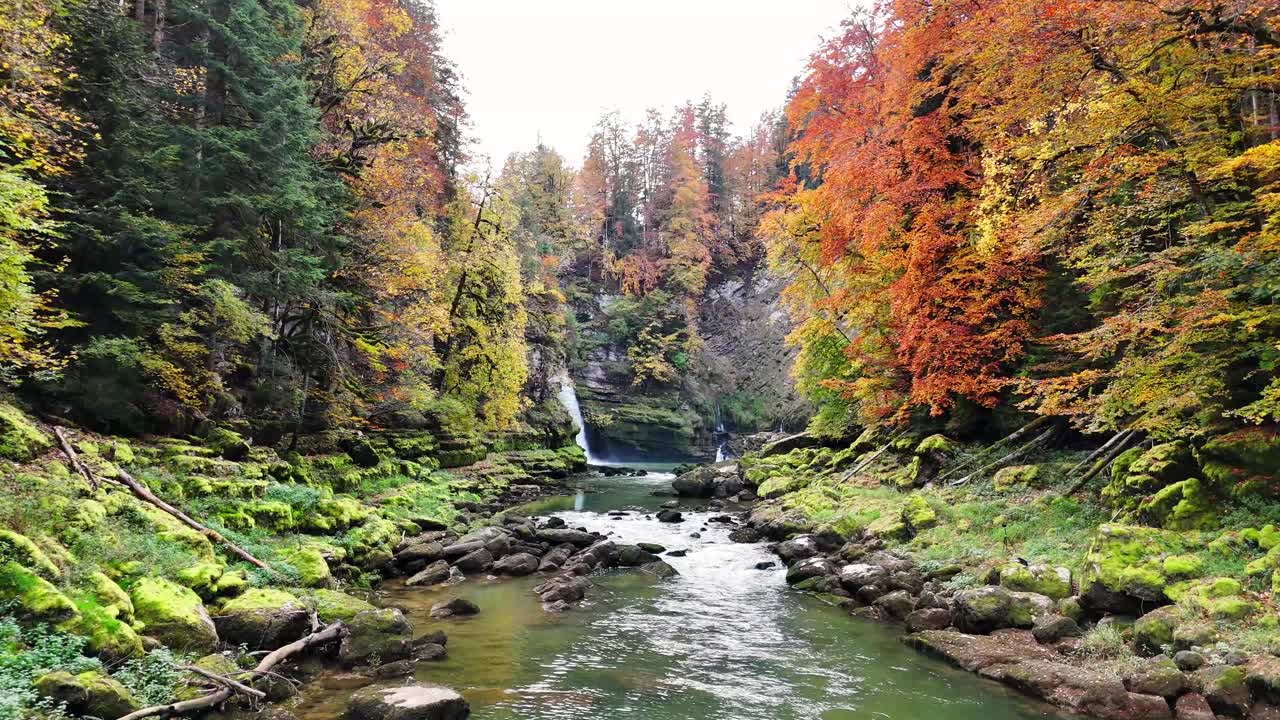 Green waters of the Doubs river flowing between moss‑covered rocks and ...