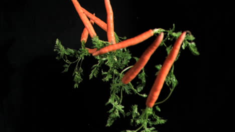 many carrots in super slow motion coming up