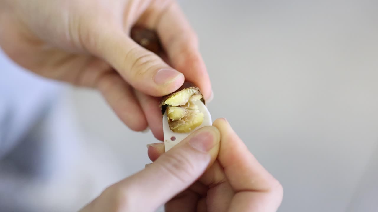 Close-up of hands peeling roasted chestnut, shallow depth of field, soft daylight, steady camera