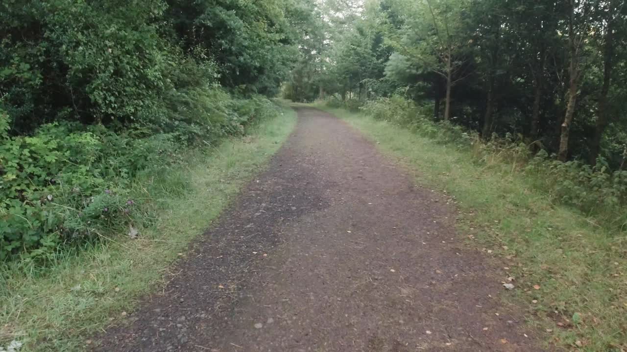 포브 는 느린 움직임 으로 숲 길 을 따라  ⁇ 고 있다