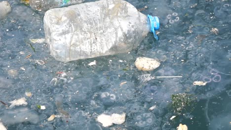 plastic pollution and jellyfish in the ocean