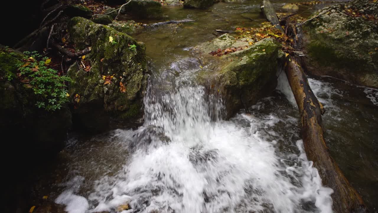 Forest Creek Waterfall