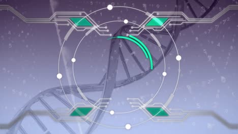 DNA-with-circuit-board-elements-and-rotating-rings