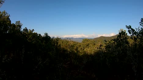 Schöne-Draufsicht-Auf-Den-Peruanischen-Dschungel-Mit-Blauem-Himmel