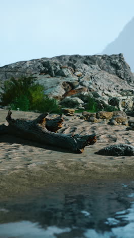 una playa pintoresca con madera a la deriva y rocas