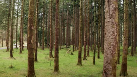 gougane barra forest park cork ireland aerial 03