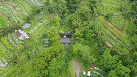 Vista-Rural-Aérea-De-La-Plantación-Vegetal-Con-Estanque-De-Agua-En-El-Medio