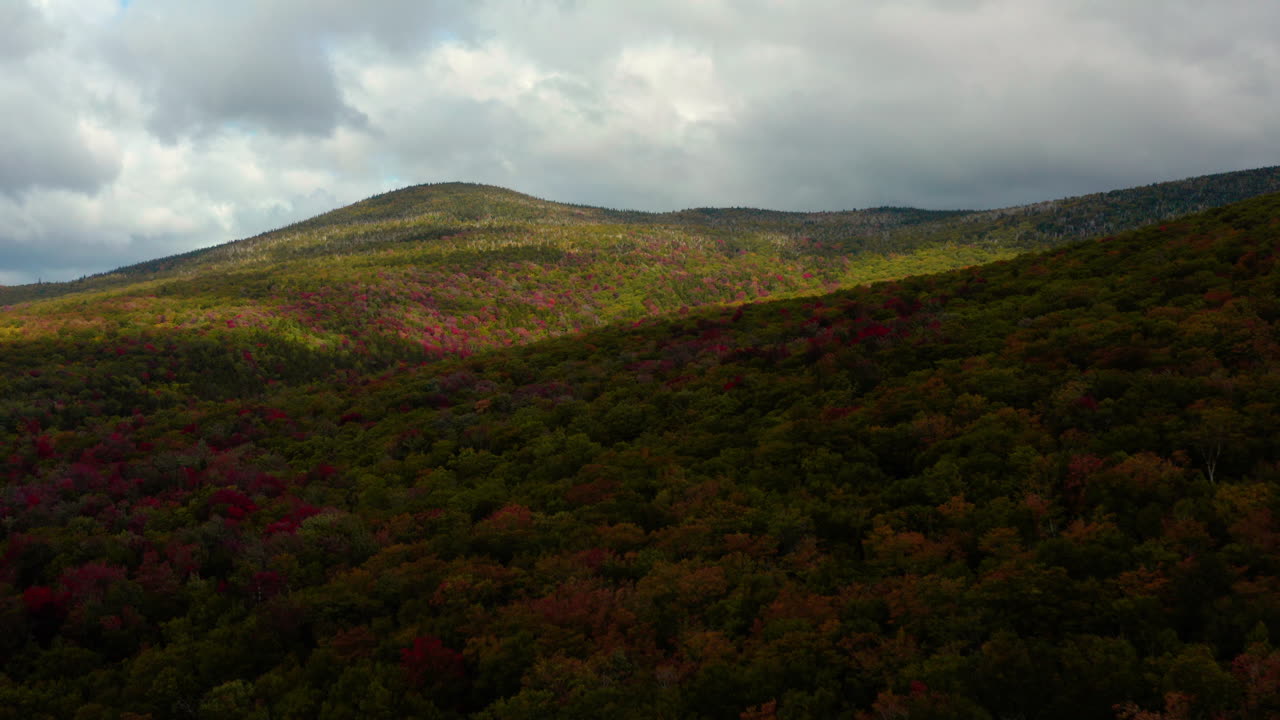 follaje de otoño de nueva inglaterra con hermosos colores de hojas de otoño desde drones aéreos 4k 24fps