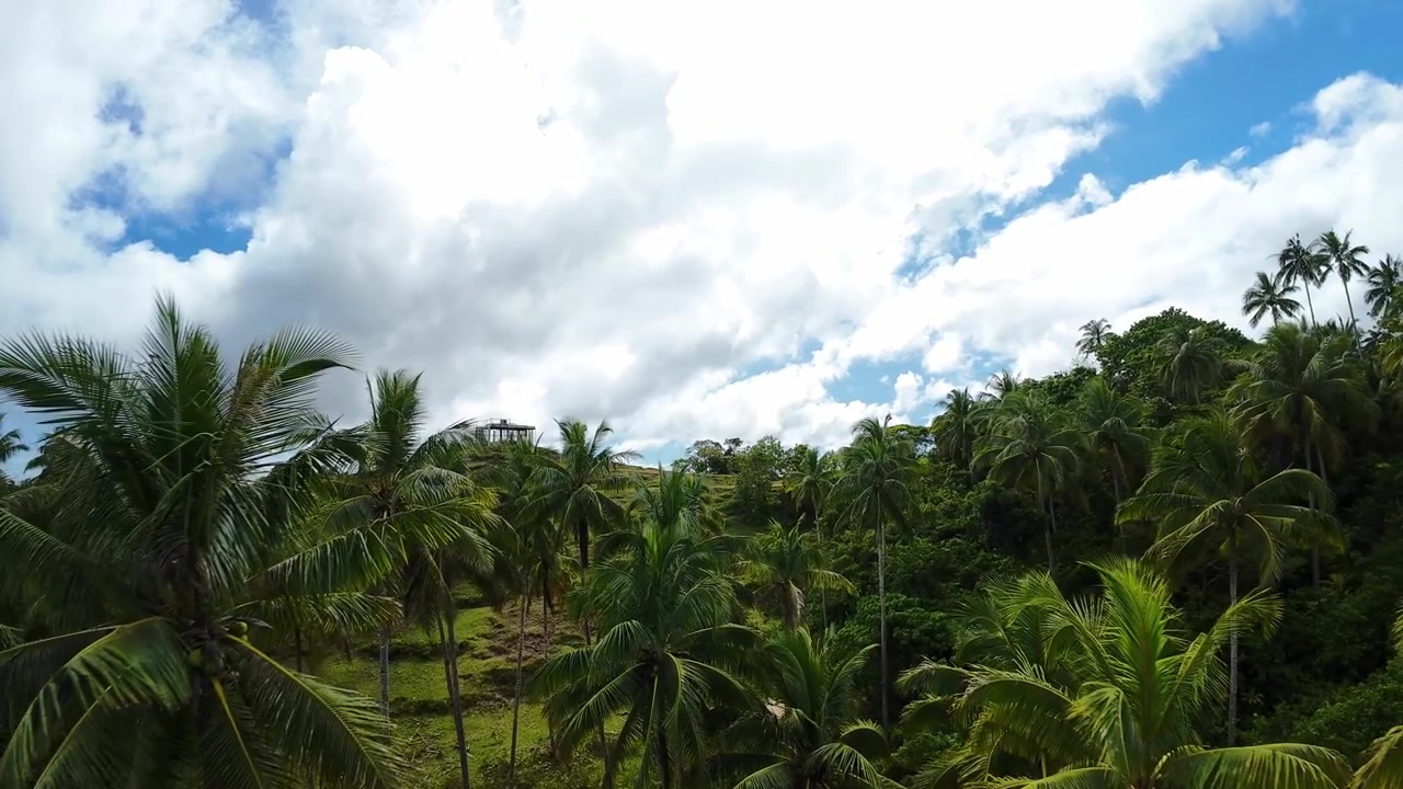 Dron sobrevuela un vibrante paisaje isleño. Majestuosas palmeras y colinas ondulantes bajo cielos tormentosos. Vívido paisaje tropical verde con imponentes palmeras y un cielo dramático visto desde arriba