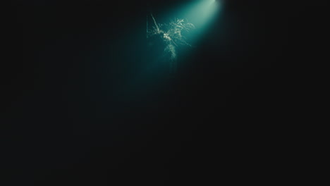 a creepy witch stands in the moody pose during the night storm