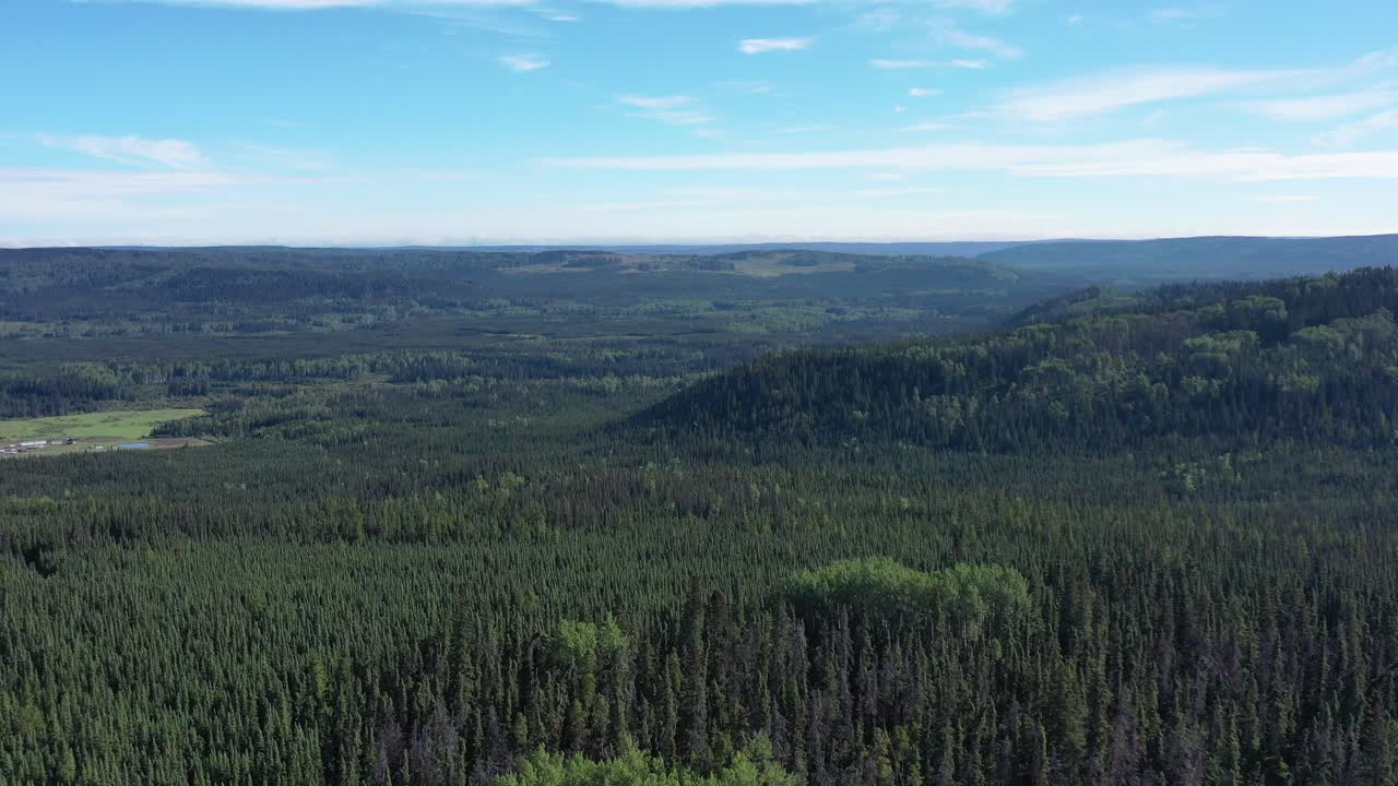 un dron captura una impresionante vista aérea de la autopista de alaska en el bosque boreal