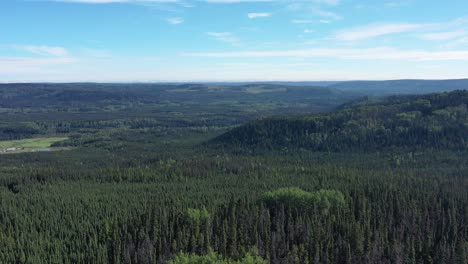 Un-Dron-Captura-Una-Impresionante-Vista-Aérea-De-La-Autopista-De-Alaska-En-Un-Bosque-Boreal