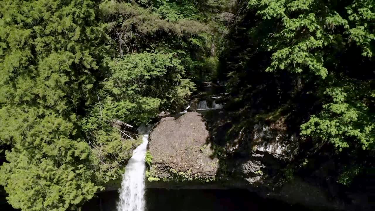 arroyos que fluyen desde colinas escarpadas en una densa jungla en el parque estatal silver falls en oregon